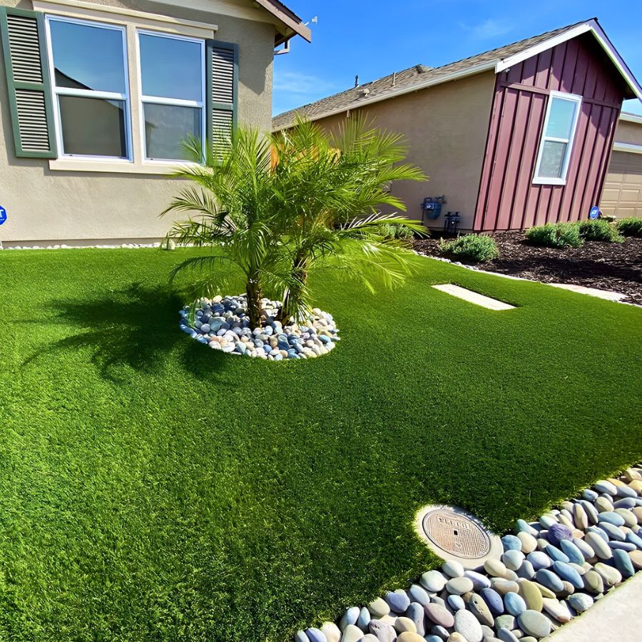 Landscape design with plants, lighting, and pathways